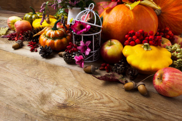 istock Fall arrangement with pumpkins, rowan berries, barberry, copy space 857901930