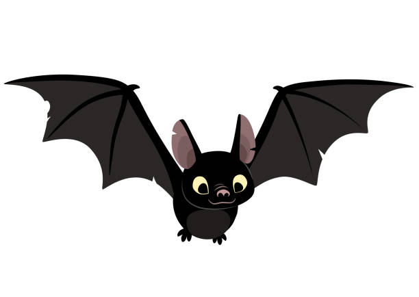 illustrazioni stock, clip art, cartoni animati e icone di tendenza di illustrazione vettoriale del simpatico personaggio amichevole pipistrello nero, volare con le ali sparse, in stile contemporaneo piatto isolato sul bianco. - bat cartoon halloween wing