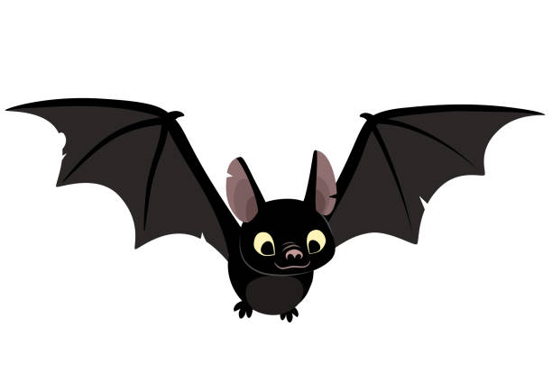 ilustrações, clipart, desenhos animados e ícones de ilustração em vetor dos desenhos animados do personagem bonito simpático morcego preto, voando com asas que se espalhou, em estilo apartamento contemporâneo isolado no branco. - morcego
