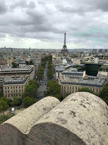 A view of Paris in the daytime from a high view point in the city.