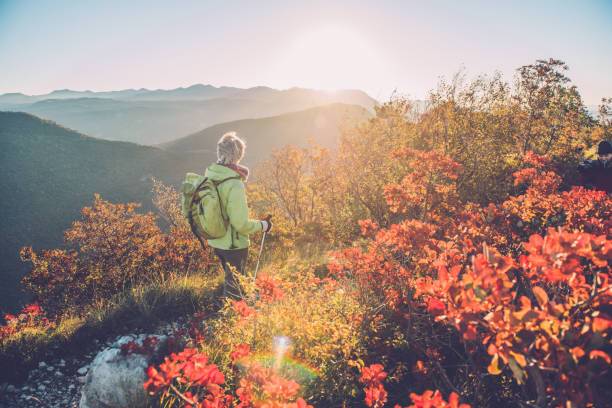 Senior Woman Hiking at Autumnal Dawn in Southern Julian Alps, Europe stock photo