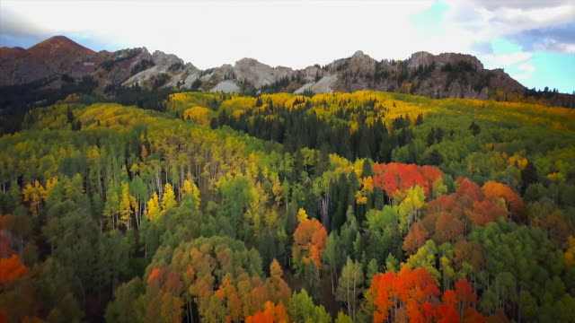 Kebler Pass Fall Colors and Mountain Views
