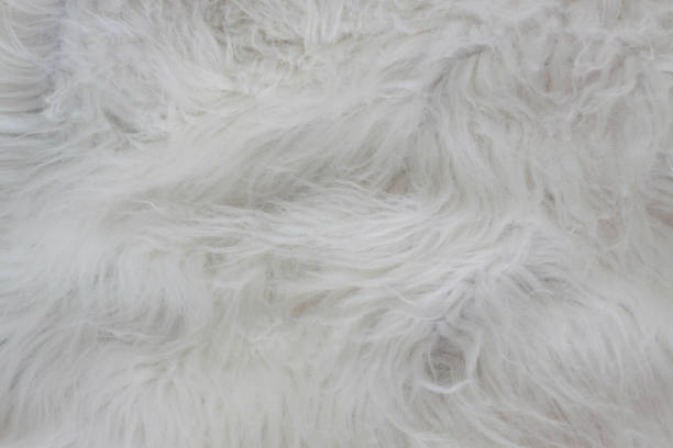 istock Close up of white fur texture. White wool carpet. 857916662