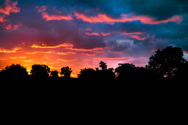 istock Meadow Sunset Landscape Scene, Uruguay 857919226