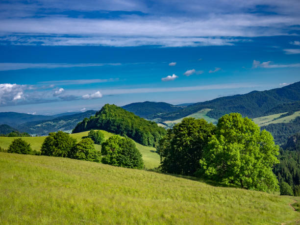 istock Pieniny Mountains and Radziejowa Range at background. 857923268