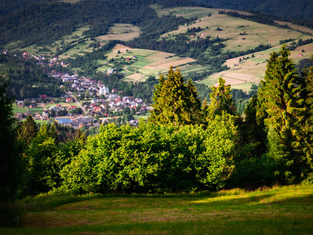 Village Szlachtowa from Pieniny Mountains in summer. Village Szlachtowa from Pieniny Mountains in summer. szczawnica stock pictures, royalty-free photos & images