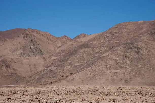 Photo of Petroglyphs at Cerro Pintados in the Atacama Desert