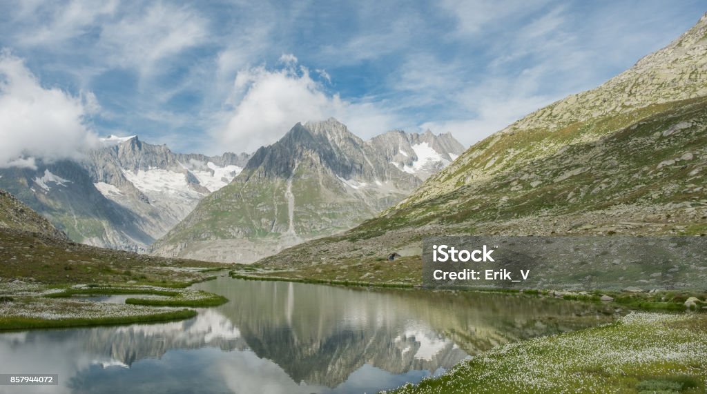 View on Swiss Alps near the famous Aletsch Glacier View on Swiss Alps near the famous Aletsch Glacier, Friday 19 August 2016, near Fiesch, Switzerland. Aletsch Glacier Stock Photo