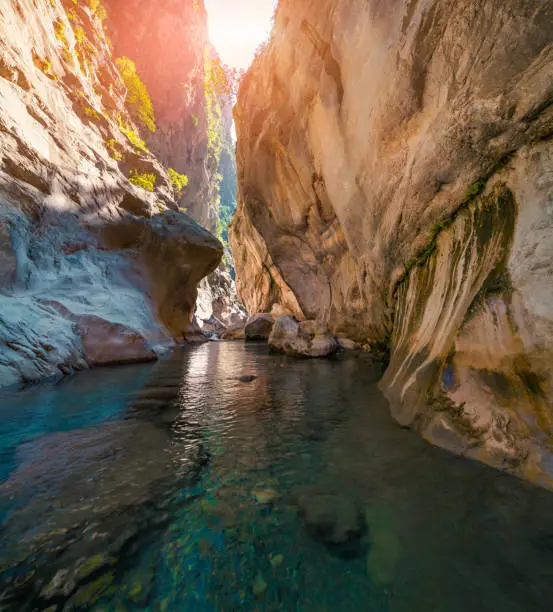 Colorful spring scene inside Goynuk canyon, located in District of Kemer, Antalya Province. Beautiful morning scenery in Turkey, Asia. Artistic style post processed photo.
