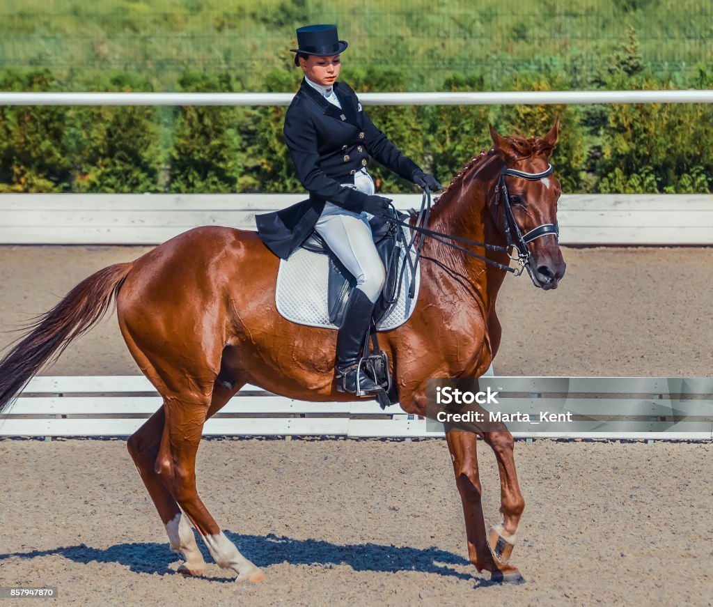 Élégante jeune femme et oseille cheval. Belle fille au dressage avancé d’essai sur la compétition équestre. - Photo de Cheval libre de droits