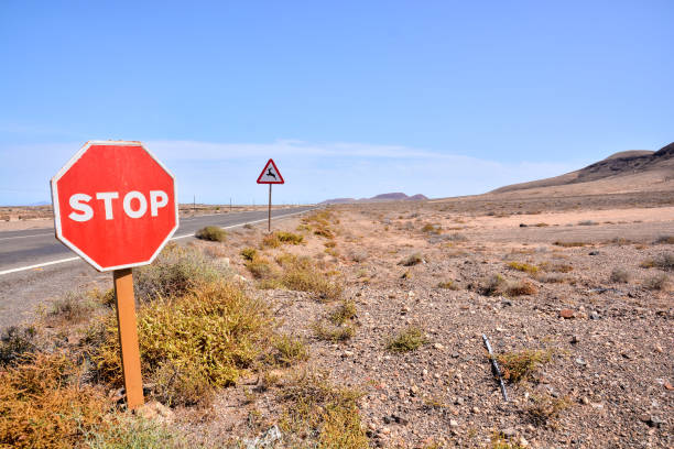 istock Landscape in Tropical Volcanic Canary Islands Spain 857953756