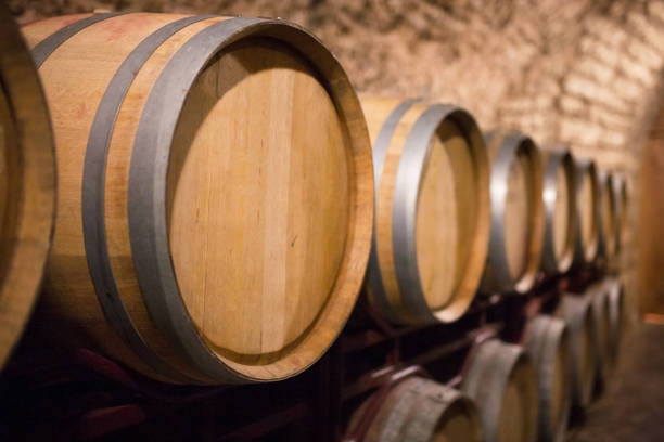 istock Wine barrels in the a wine cellar 857955068