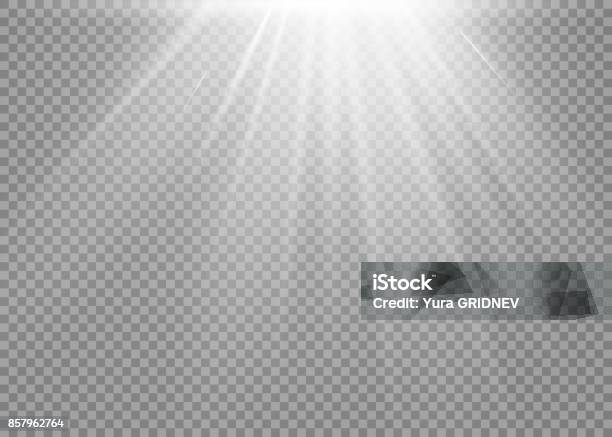 Vector Spotlight Light Effect Stock Illustration - Download Image Now - Light Effect, Spotlight, Lighting Equipment