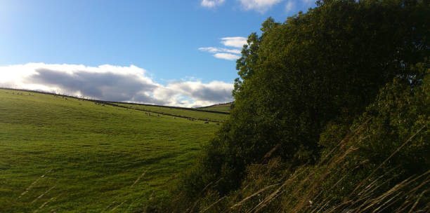 istock Unique photos of Scotland in the fall 857962776