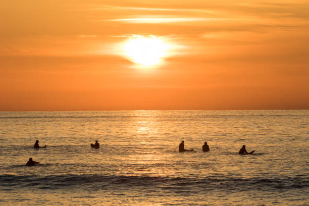 istock Surfers waiting in the water for the next wave. Sunset at Unstad beach 857965606