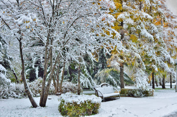 istock Bench in autumn park with first snow covered. 857966584