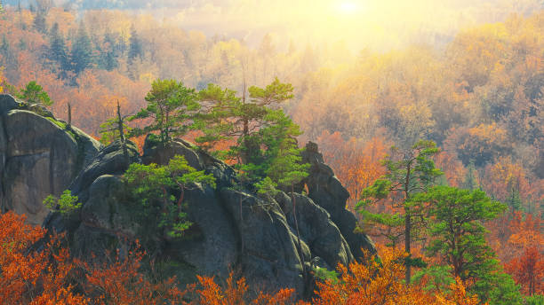 осенний лес и горы в backgroun - great smoky mountains national park стоковые фото и изображения