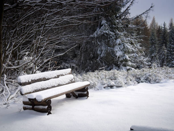 istock Wooden bench covered with snow 857970264