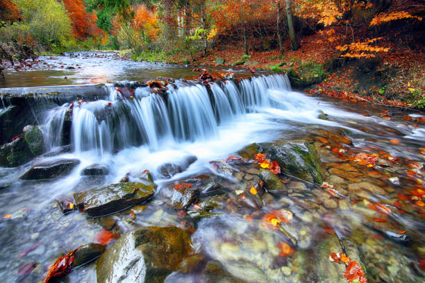 istock Mountain river with rapids and waterfalls at autumn time 857972512