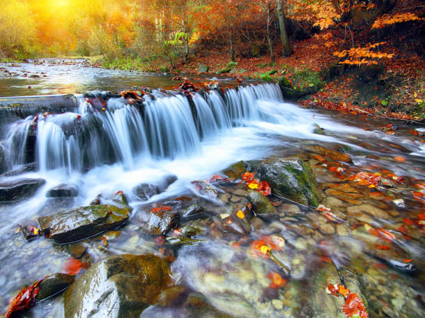 istock Mountain river with rapids and waterfalls at autumn time 857973184