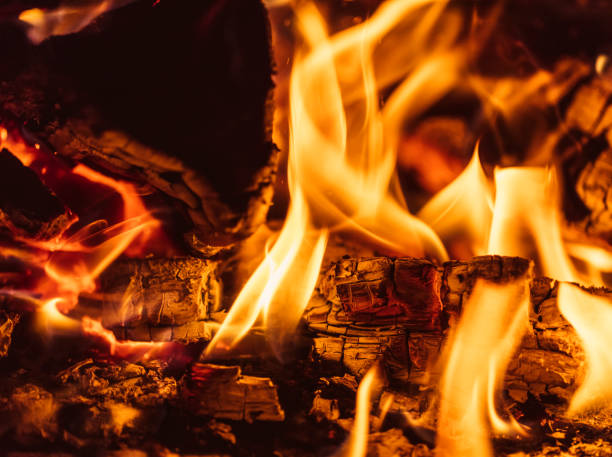 istock Close-up of logs burning in an outside campfire 857976368
