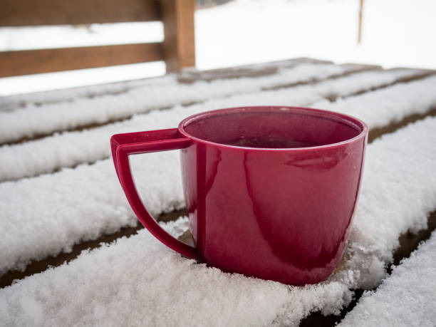 istock Plastic cup of tea with lemon on bench covered with snow 857976582