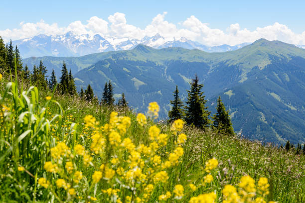 istock Hiking in the Alps 857977442
