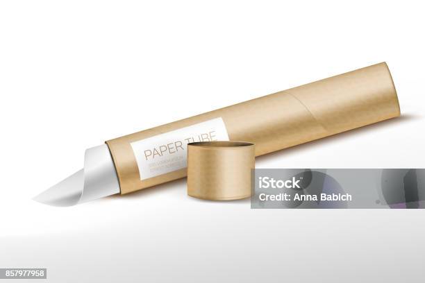 Beautiful Realistic Cardboard Tube Stock Illustration - Download Image Now - Cardboard, Cylinder, Tube