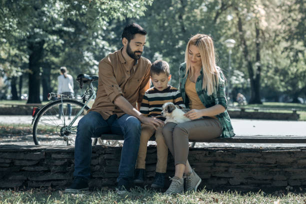 istock Young Family playing with their pet in the park 857978104