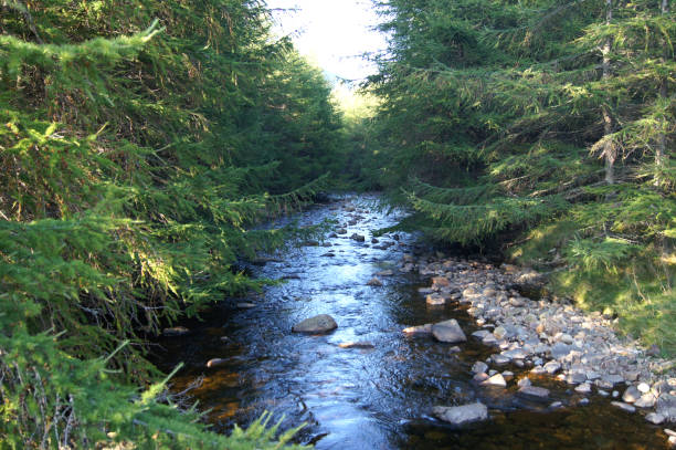 istock Unique photos of Scotland in the fall 857982110