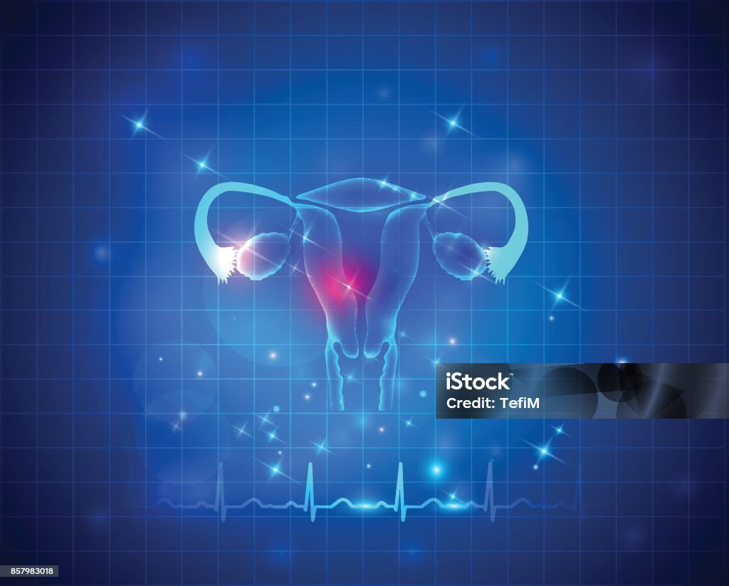 Uterus health care Female reproductive organs uterus and ovaries health care on an abstract blue background, normal cardiogram at the bottom Uterus stock vector