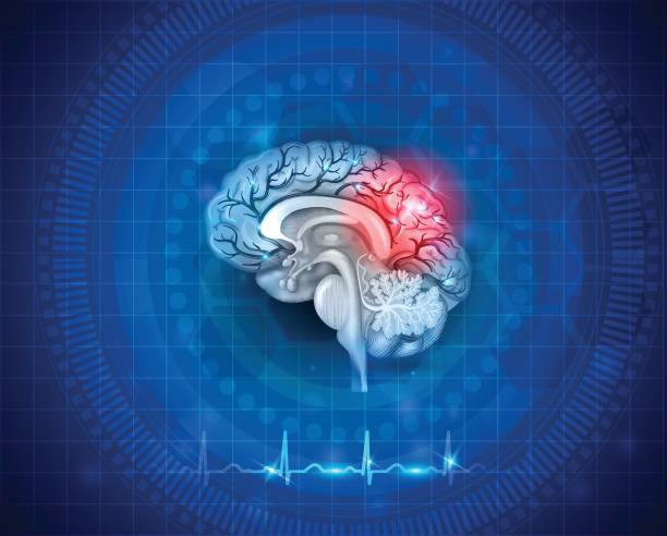 Human brain damage and treatment Human brain damage and treatment concept. Abstract blue background with cardiogram. stroke illness illustrations stock illustrations