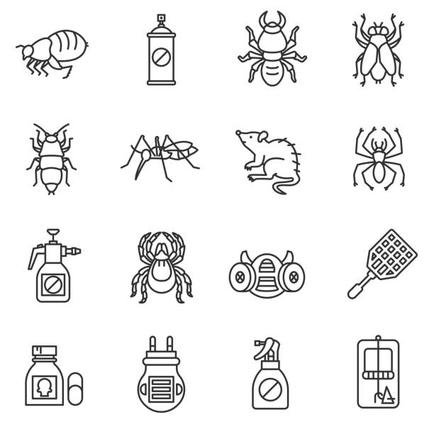 ilustrações, clipart, desenhos animados e ícones de conjunto de ícones de controle de pragas. - service pest insect fly