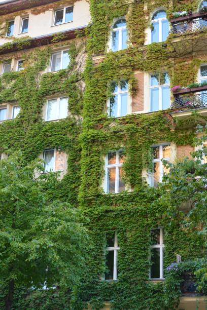 istock House with Green Walls as Vertical Garden 858003082