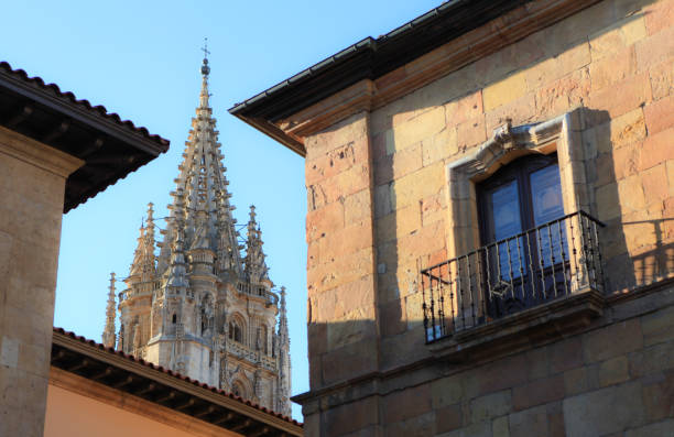 Cathedral of the Holy Saviour (Catedral de San Salvador) reflecting in fountain.