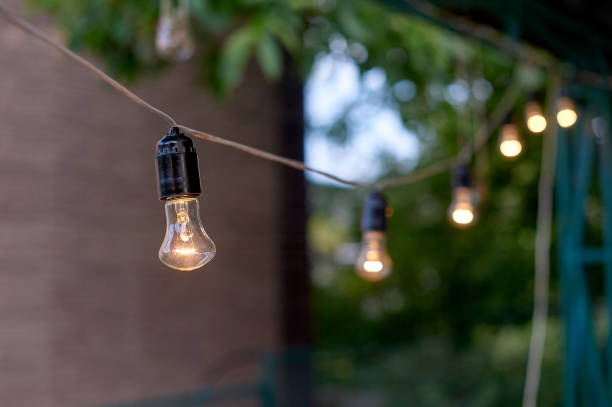 istock Decorative outdoor string lights hanging on tree in the garden in evening time 858005438
