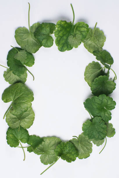 istock Frame of flowers on the table 858011556