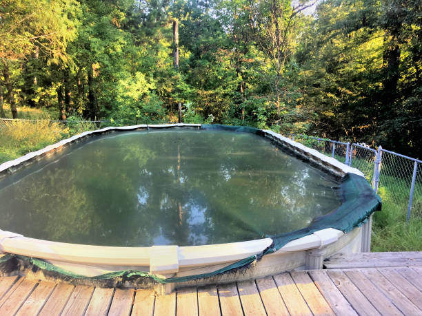 istock Swimming Pool with Dirty Green Water 858012224