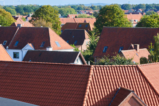 Danish city Odense seen from obove. Homes both apartments and family houses