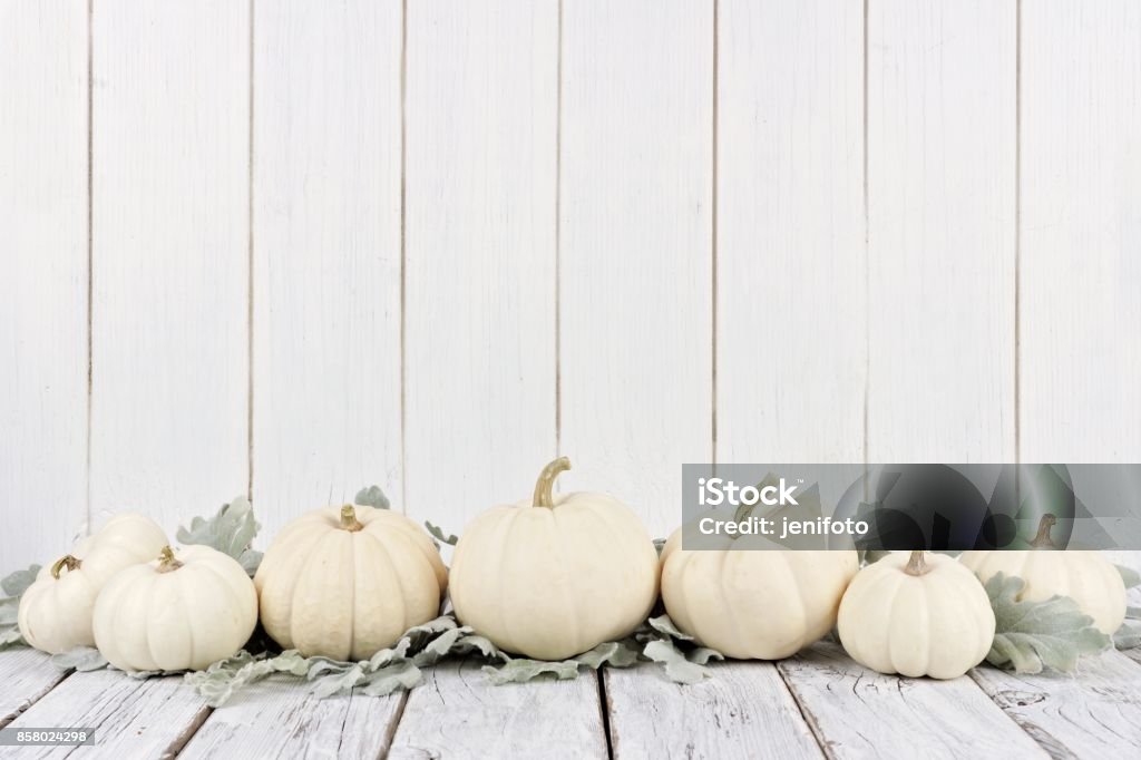 Border of white pumpkins and leaves, white wood background Autumn border arrangement of white pumpkins and silver leaves with a white wood background Pumpkin Stock Photo