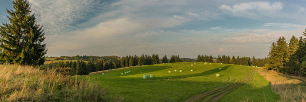 istock Evening in Slavkovsky les national park 858027428