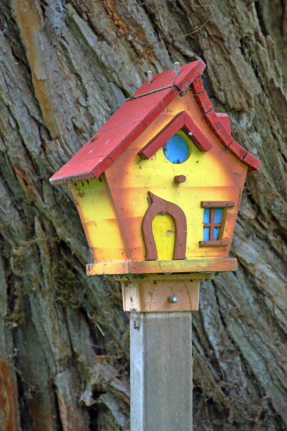 istock Colorful birdhouse on a post in front of a tree 858030532