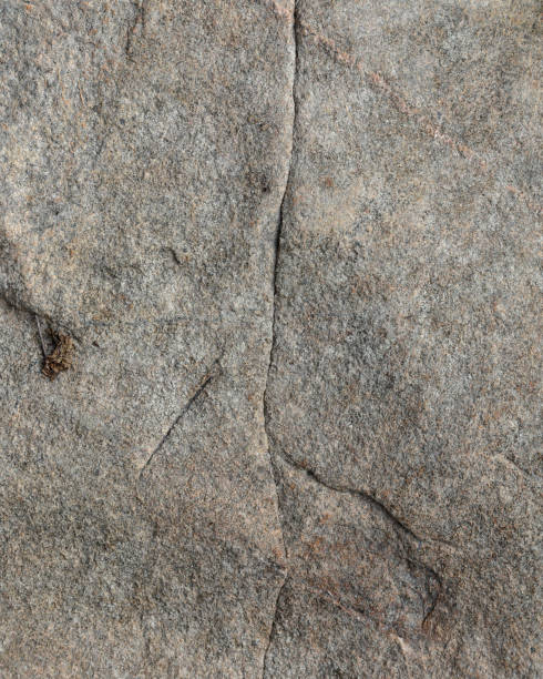 istock Closeup of grey rock with lines 858030728