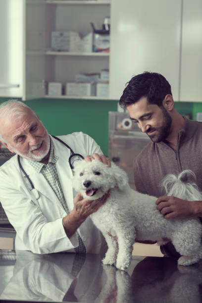 istock Handsome Man With his Dog at the Vet's Appointment 858035612