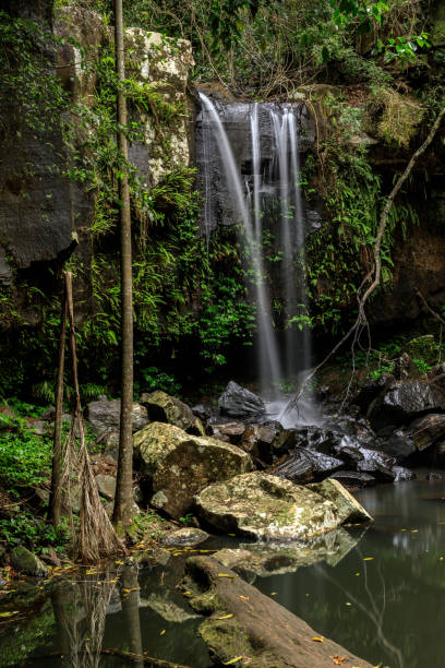 istock Curtis Falls, Rainforest, Queensland, Australia 858035894
