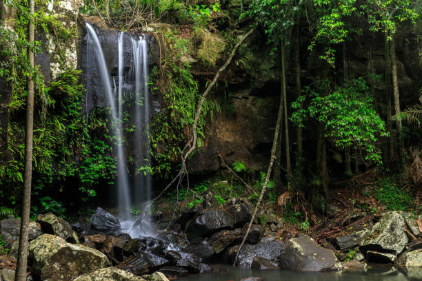 istock Curtis Falls, Rainforest, Queensland, Australia 858035902
