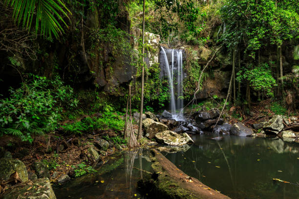istock Curtis Falls, Rainforest, Queensland, Australia 858035904