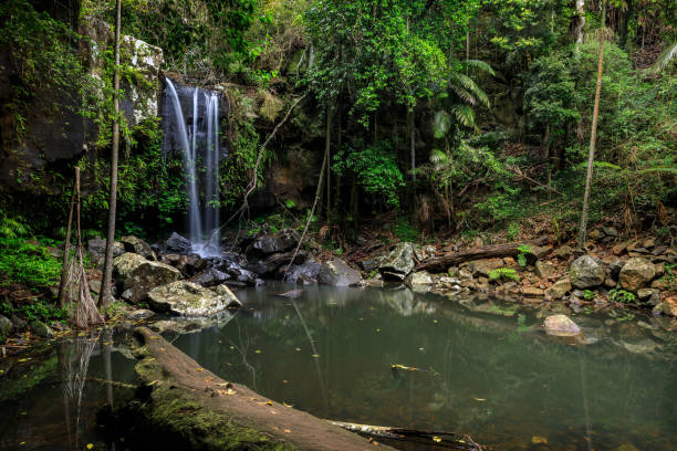 istock Curtis Falls, Rainforest, Queensland, Australia 858035908