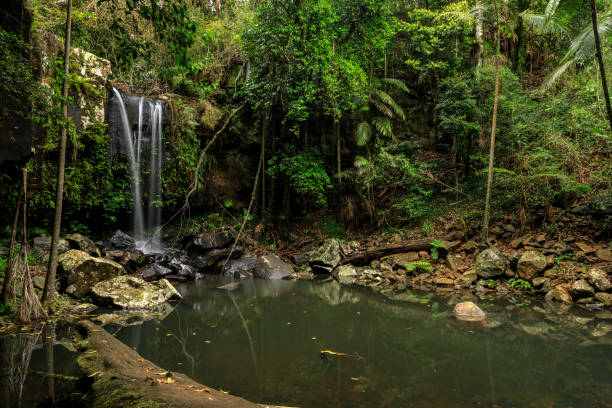 istock Curtis Falls, Rainforest, Queensland, Australia 858035942