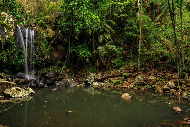 istock Curtis Falls, Rainforest, Queensland, Australia 858035944